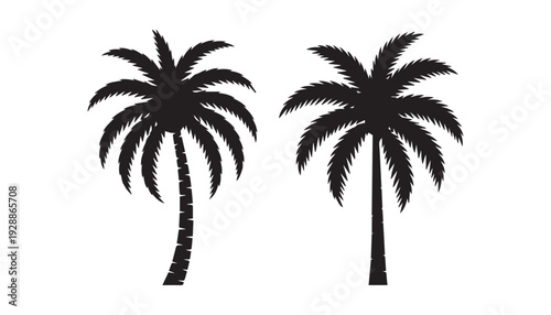 black color palm tree of silhouette vector illustration, solid white background