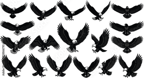 Bald eagle silhouettes collection with flying, landing, soaring poses, detailed wings, majestic bird vector artwork, wildlife design inspiration
