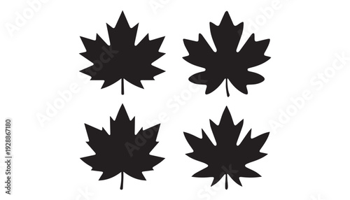 black color maple leaf set of silhouette vector illustration, solid white background