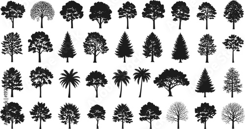 Black silhouette vector illustration collection of diverse tree types including broadleaf, coniferous, palm, arranged in grid pattern