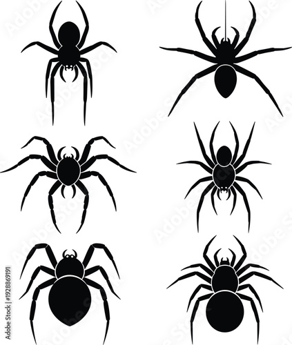 Black silhouette vector illustration of spiders, diverse species shapes and postures, arachnid entomology design elements for decoration