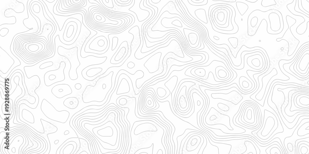 Fototapeta premium Minimal white line geometric grid outline curve counter map and wavy topography relief discovery area white, black line texture background.
