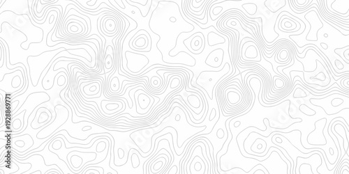 Minimal white line geometric grid outline curve counter map and wavy topography relief discovery area white, black line texture background.