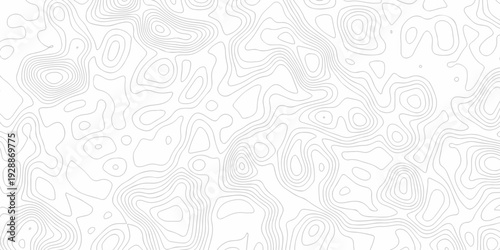 Minimal white line geometric grid outline curve counter map and wavy topography relief discovery area white, black line texture background.