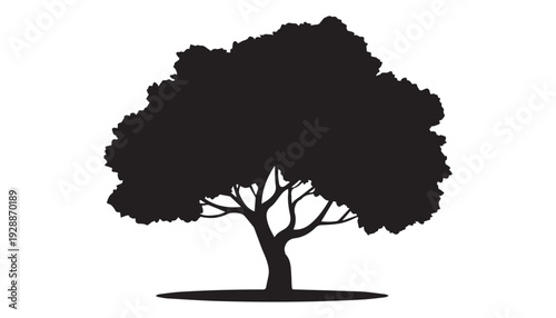 black color big tree of silhouette vector illustration, solid white background