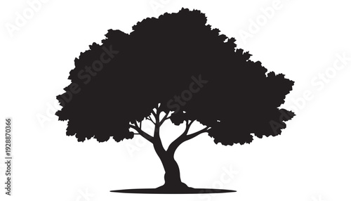 black color big tree of silhouette vector illustration, solid white background