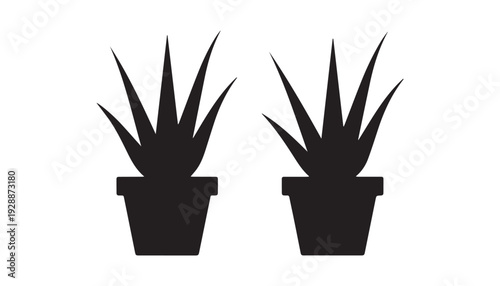 black color Aleo Vera of silhouette vector illustration, solid white background