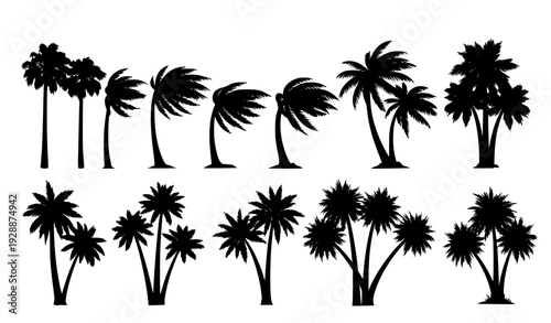 silhouettes of palm trees Stylized Tropical Palm Tree Silhouettes in Various Sizes Black Vector Illustration