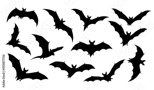 Flying bat silhouette vector collection with dynamic wing poses on white background