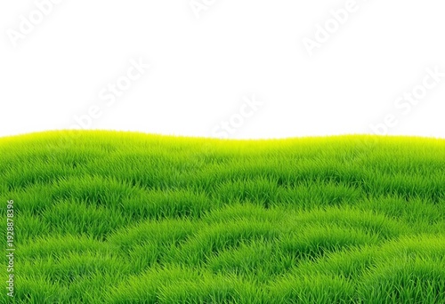 Smooth, unbroken grassy outline against bright backdrop,  pastoral,  stock