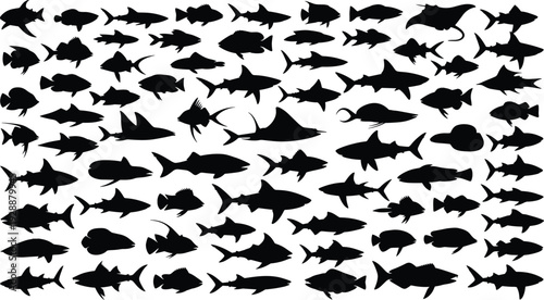 Fish silhouette vector illustration collection, marine wildlife artwork, aquatic animal design element, ocean nature graphic motif, ichthyology pattern