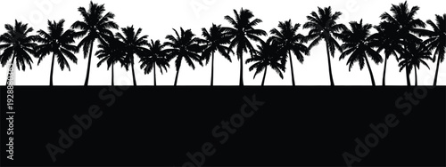 Palm tree silhouette vector illustration, tropical coastal nature artwork, vacation island design element, exotic landscape graphic, relaxation theme pattern