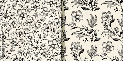 Detailed botanical illustration of black and white floral patterns on beige