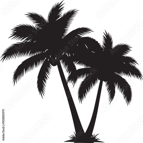 palm tree silhouette