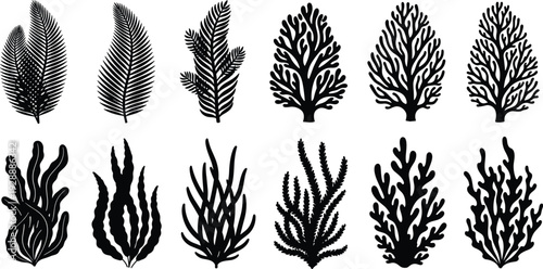 Black aquatic plant silhouettes set featuring various species of seaweed and coral reef elements isolated on white background for marine and underwater designs