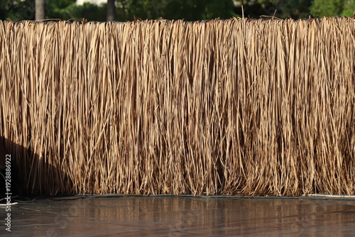 Wallpaper Mural Thatched fence wall shading outdoor pool area on sunny day Torontodigital.ca