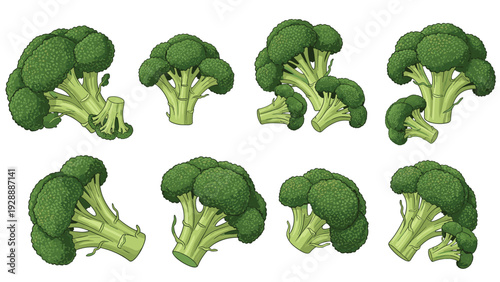 Collection of fresh green broccoli florets shown from different angles and styles on a plain white background for cooking.