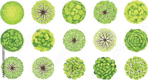 Stylized tree canopy vector illustration with diverse foliage patterns, botanical aerial views, decorative landscape motifs, creative educational design elements for ecological projects