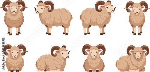 Cute Ram Sheep Character Set Vector Illustration with Different Poses, Standing and Sitting Farm Animal Collection