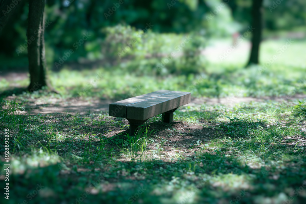 Fototapeta premium 木陰のベンチ 小山内裏公園