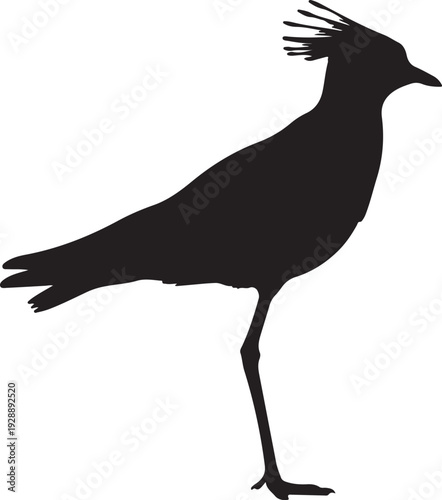 Crowned Lapwing in silhouette vector.