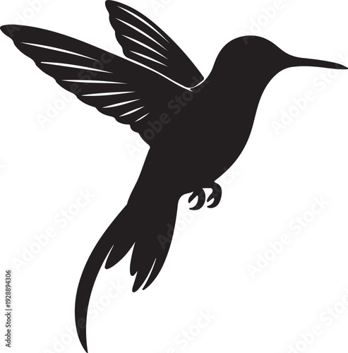 Crowned Woodnymph in silhouette on white background.