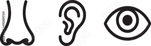 Human sensory organs icon set with nose, ear and eye for smell, hearing and vision perception