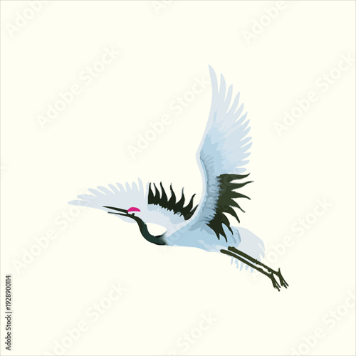 Elegant flying crane illustration with open wings and white feathers on light background