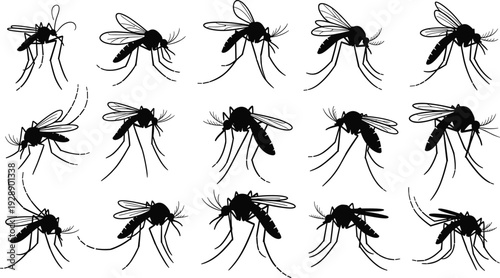Vector illustration of fifteen mosquito silhouettes arranged in grid, showing side profiles with varied wing and leg positions