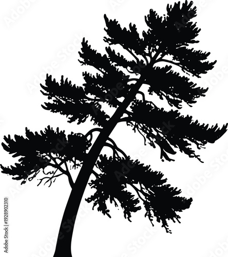 Vector illustration of stylized leaning tree silhouette with curved trunk symbolizing nature, culture, tradition, growth, and education