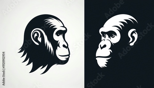 vector illustration of an ape