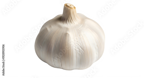 Whole garlic bulb with papery skin isolated on transparent background transparent background