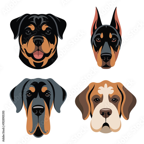 Guard dog faces bundle featuring rottweiler, doberman and hound styles, vector portraits for security training session, kennel club event branding
