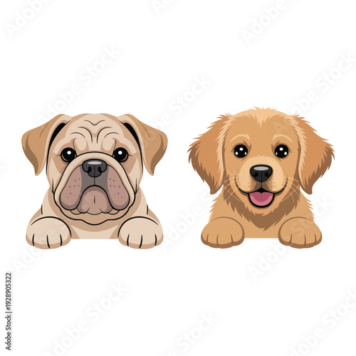 Bulldog and spaniel puppy heads, friendly dog illustration for grooming salon flyer, basic training session, adoption day event branding