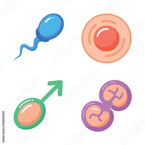 Infertility treatment education set, sperm and ovum meeting, embryo division icons, male symbol, clinic seminar session, family planning vector