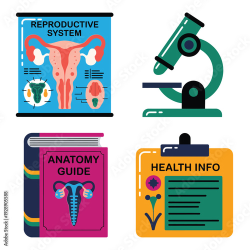 Reproductive system study kit, anatomy guide books, laboratory microscope, health information clipboard, university lecture poster, medical training session vector