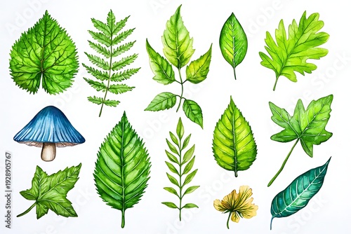 Hand-painted Collection of Various Green Leaves and a Blue Mushroom on White Background
