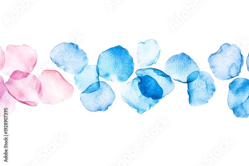 Delicate Pink and Blue Petals on White Background for Romantic or Elegant Designs