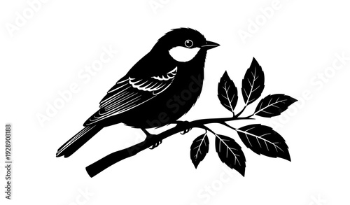Black Bird Sitting on Tree Branch Silhouette Vector Illustration Isolated on White Background