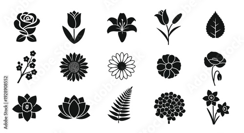 A collection of diverse and intricate flower illustrations showcasing various shapes and patterns