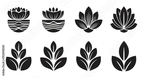 A collection of eight distinct black and white floral designs arranged in two rows