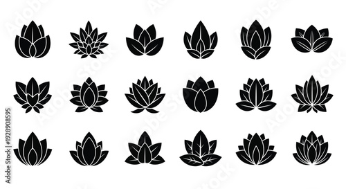 A collection of diverse leaf shapes and patterns in black and white