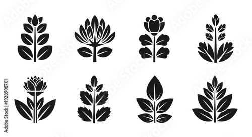 A collection of elegant and intricate floral designs showcasing various plant motifs