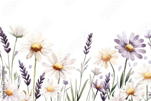 Beautiful Floral Arrangement with White Daisies and Lavender on a Bright Background