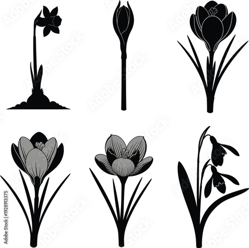 Elegant Black and Grey Silhouettes of Spring Flowers in Bloom and Bud Stages