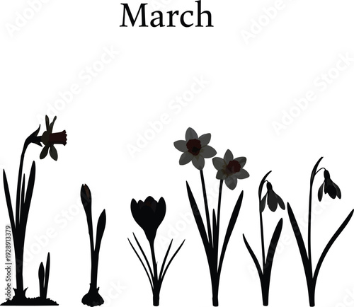 March Theme: Silhouettes of Blooming Spring Flowers with Delicate Color Accents
