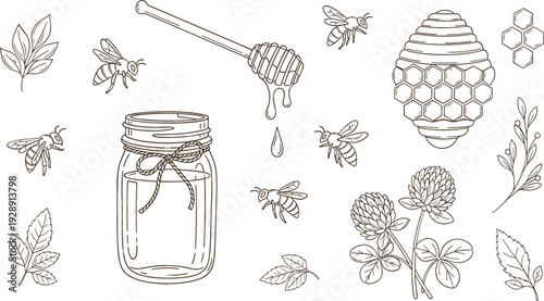 Hand drawn honey and bees vector illustration set with beehive jar dipper flowers leaves and natural beekeeping elements isolated on white background