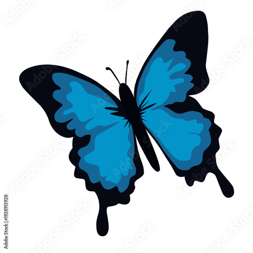Bright Blue Morpho Butterfly Vector Illustration Isolated