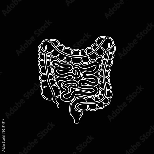 A stylized white line drawing of the human large and small intestines against a stark black background, representing the digestive system and gastrointestinal tract