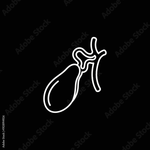 Vector line art icon of the human gallbladder, illustrating essential digestive organ anatomy with minimalist white outline on a dark background for medical health concepts